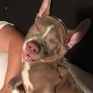 Meet your Posher, Christian